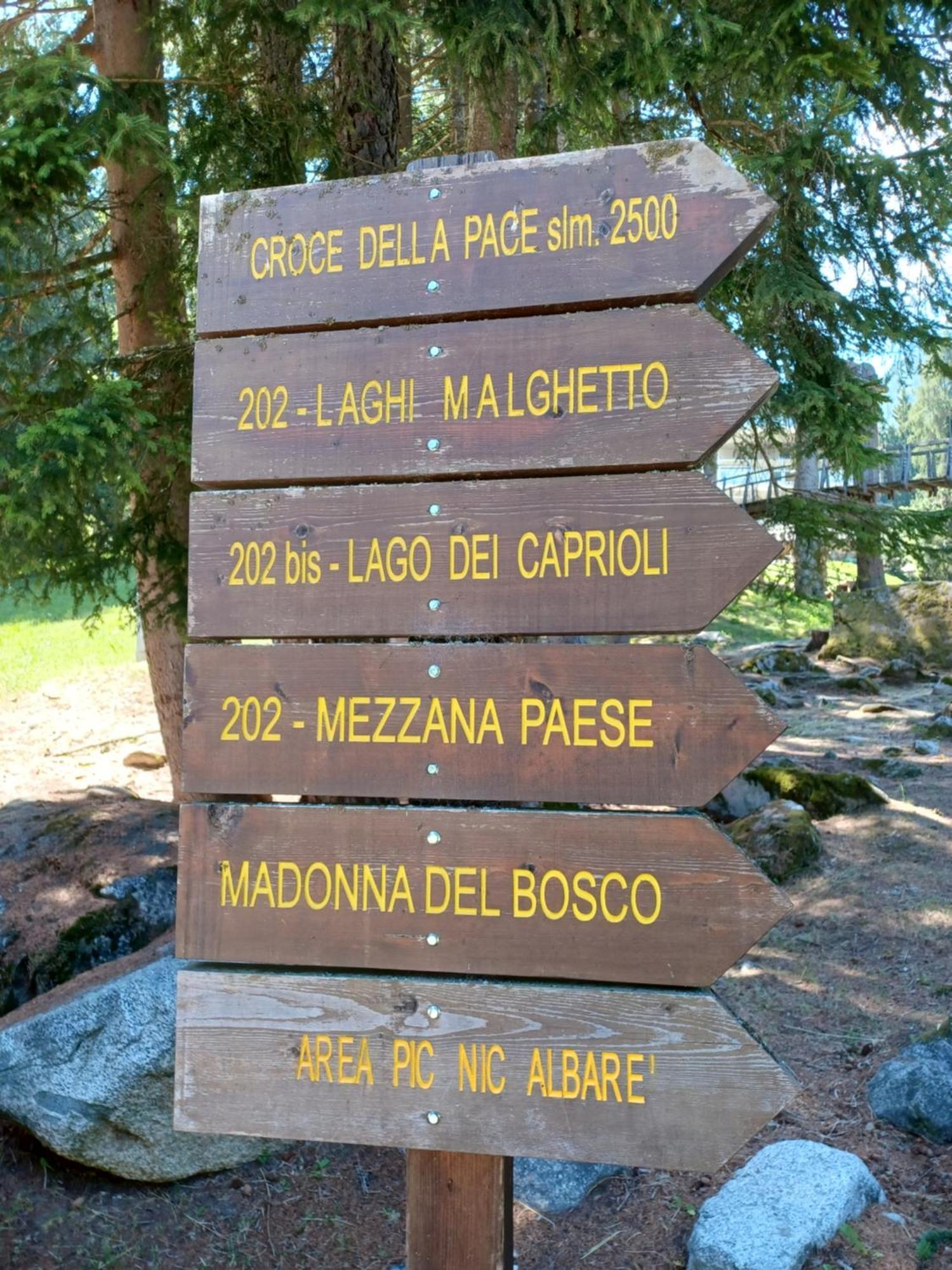 Appartamentino Marilleva 1400 Экстерьер фото