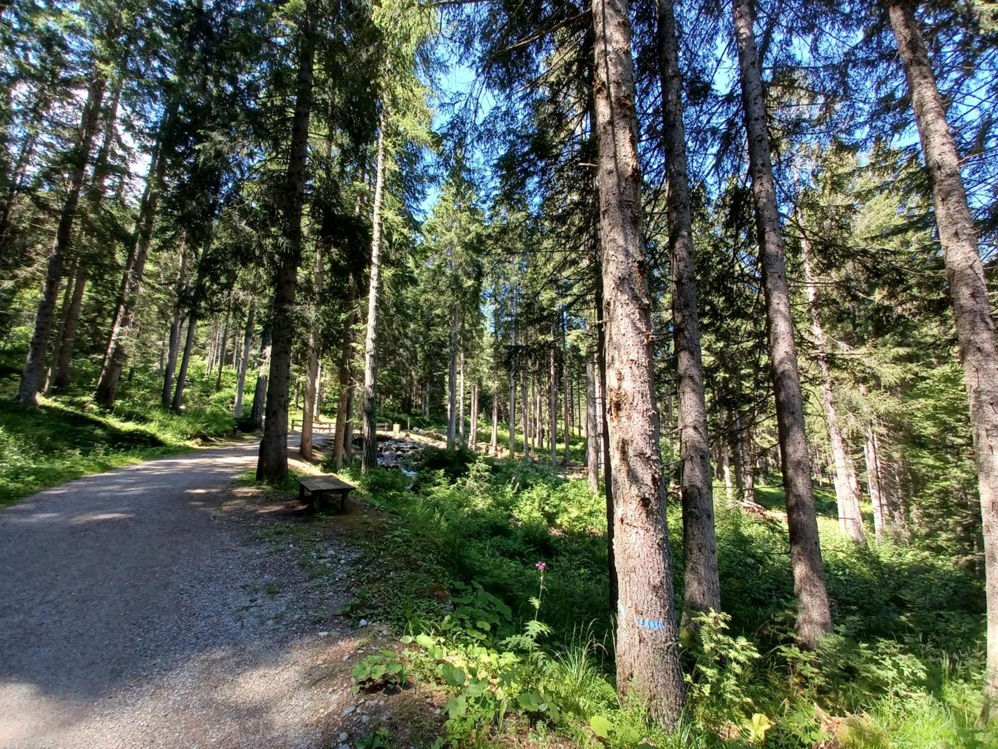 Appartamentino Marilleva 1400 Экстерьер фото